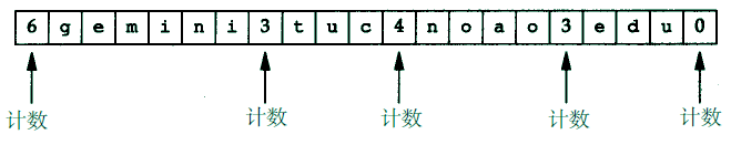 dns-msg-question-name
