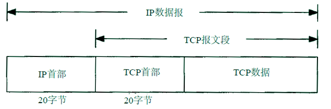 tcp-structure